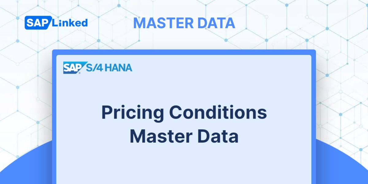 Pricing Conditions Master Data